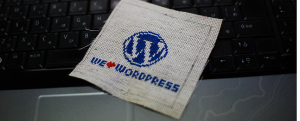Wordpress important things
